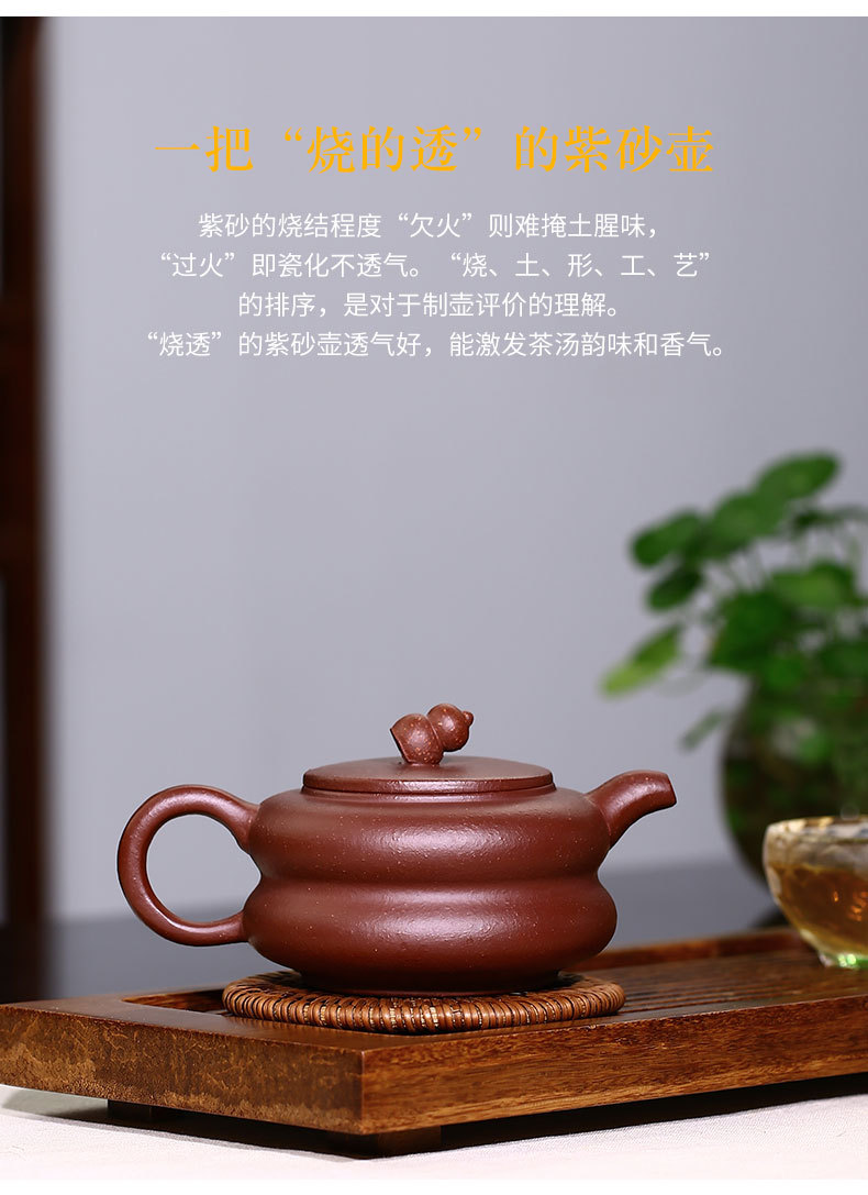 宜兴泥所想葫芦紫砂壶原矿紫泥茶壶茶具厂家代理杨飞楠一件代发货