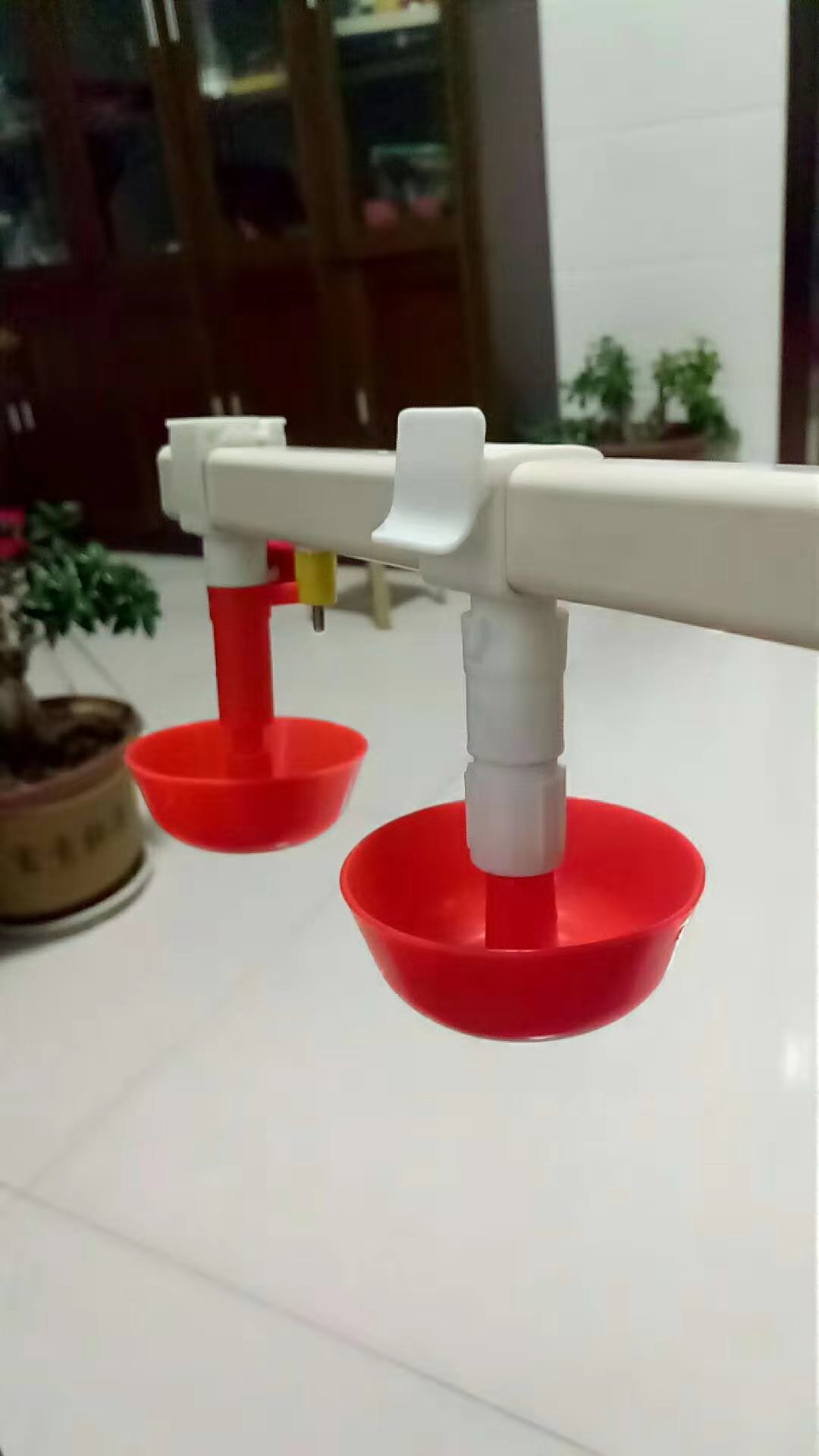 新型方管专用雏鸡饮水碗育雏水碗鸡用饮水器鸡场养殖自动鸡饮水碗