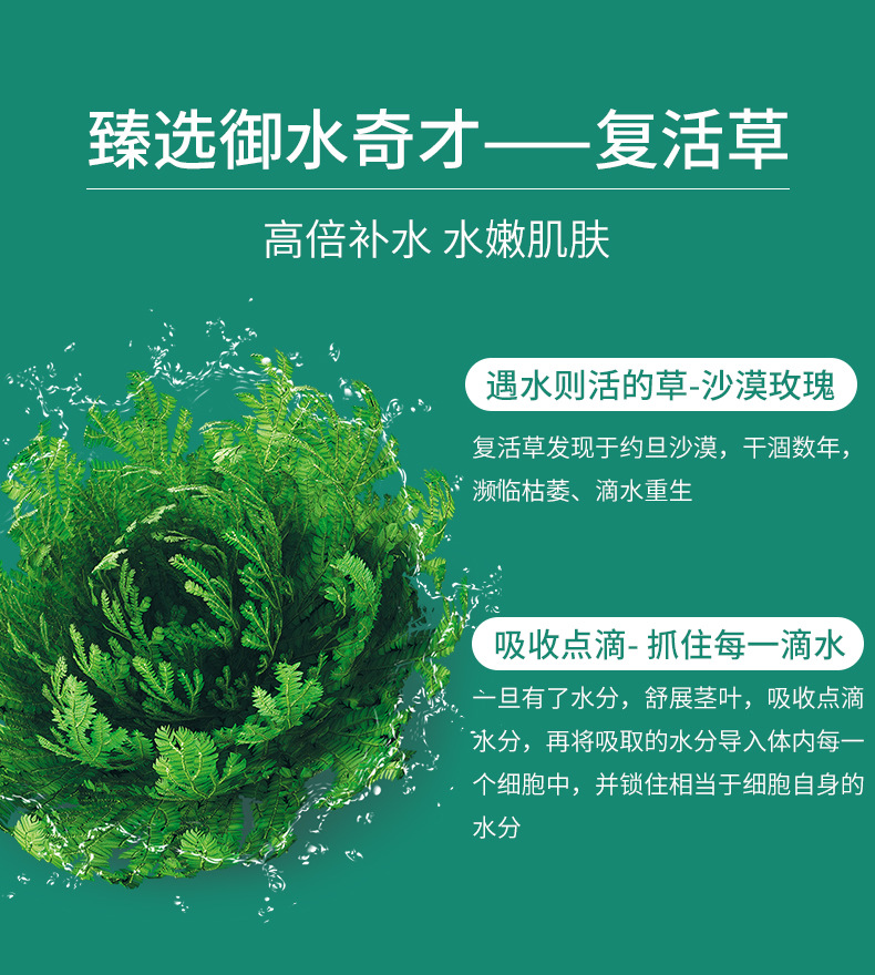 德德维芙复活草面膜补水保湿润滋养舒缓修护清爽控油净