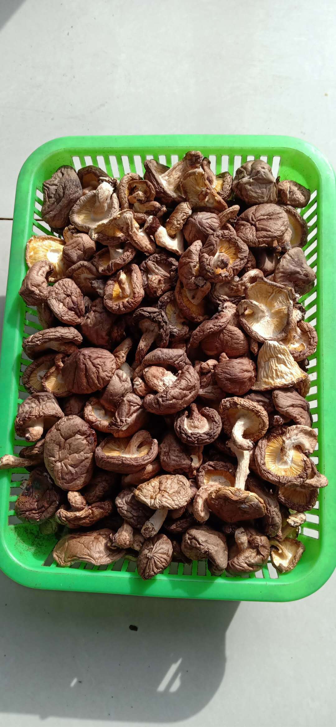 楚蕈湖北远安大自然带脚干香菇批发500g散装