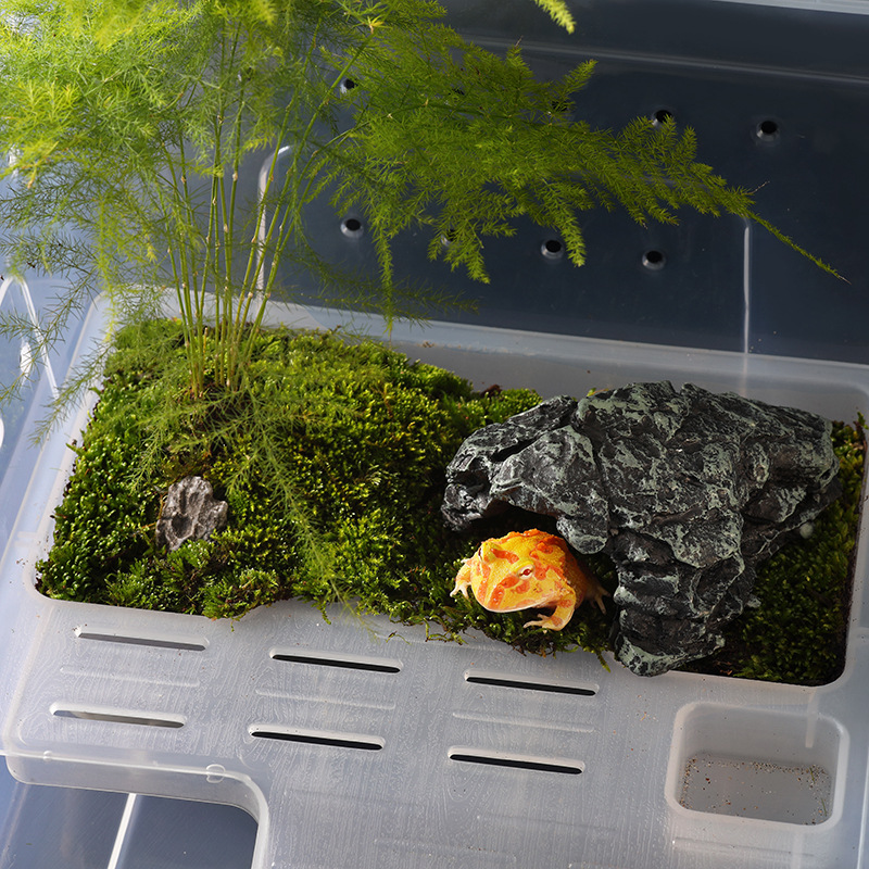 六角恐龙鱼专用鱼缸水陆两栖缸别墅龟角蛙迷你小乌龟宠物养龟