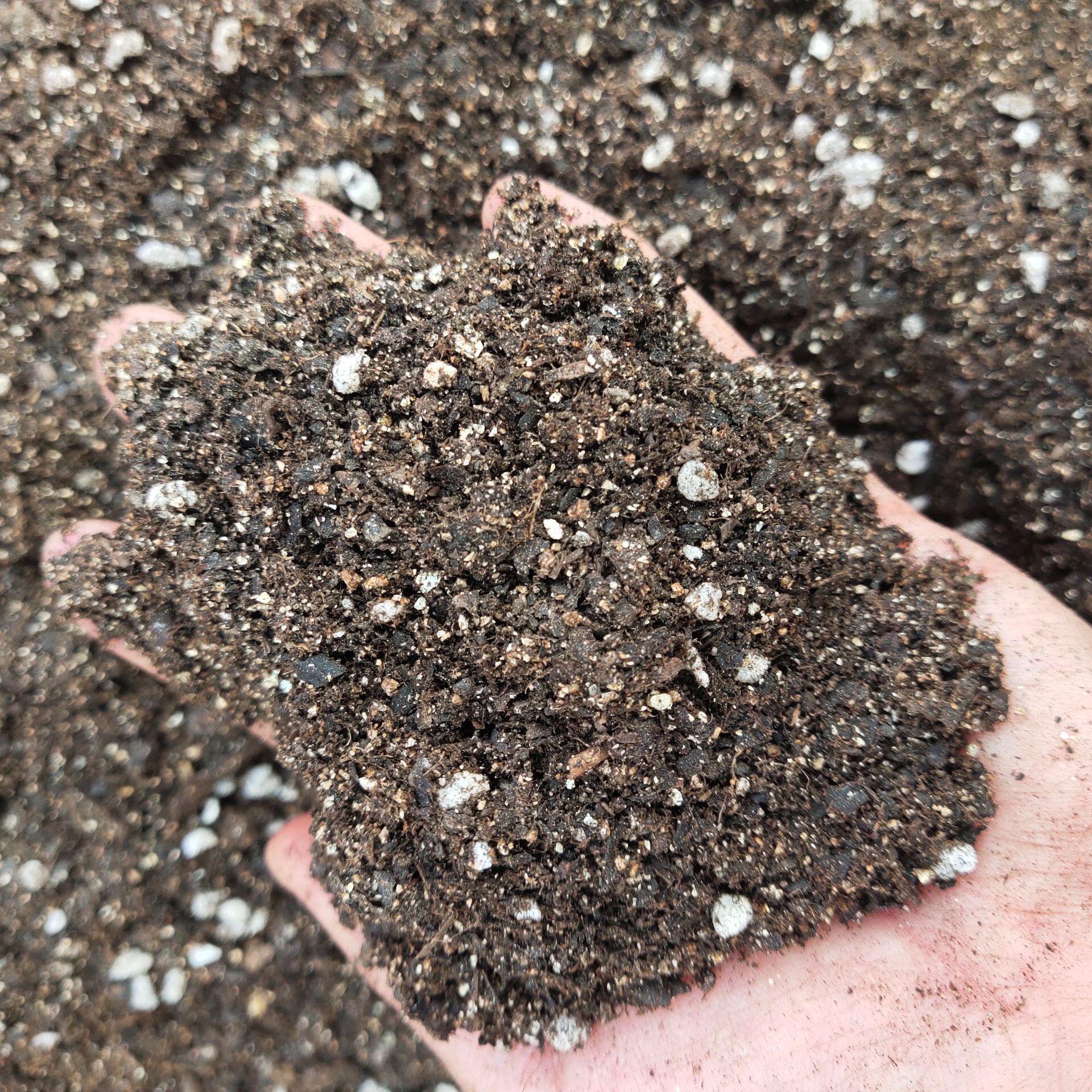 种花草莓营养土蔬菜绿化有机花肥多肉土育苗基质园艺栽培育苗花土