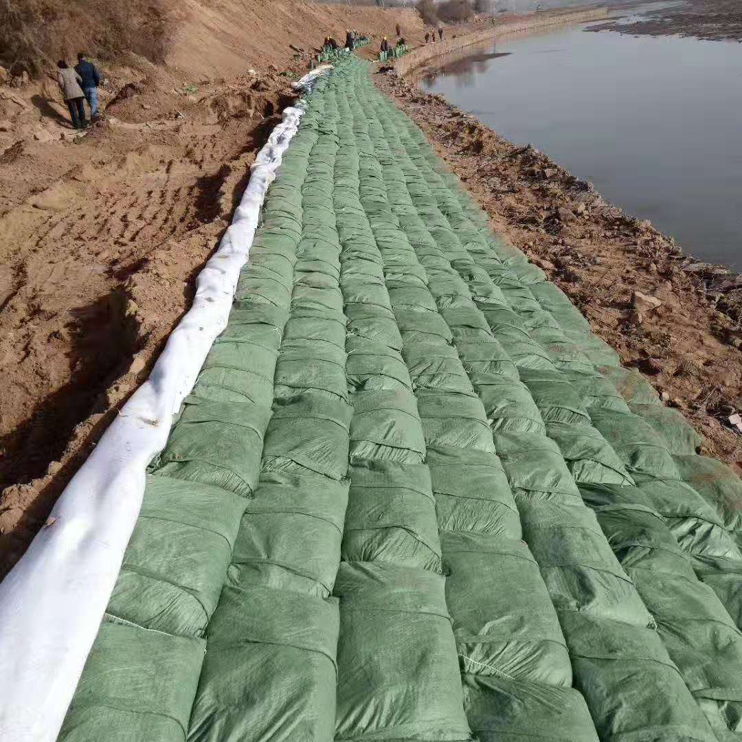 直销 绿化护坡防护袋工程防冻防汛防洪园林生态袋河道治理土工布袋