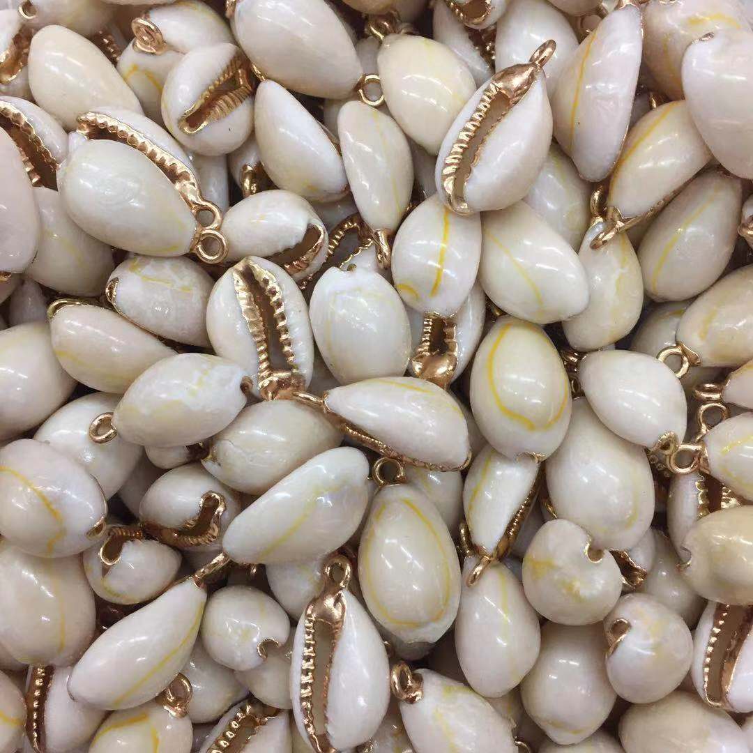 海螺贝壳金边螺无孔整螺16-18mm 墙贴水族工艺品饰品材料黄金贝片