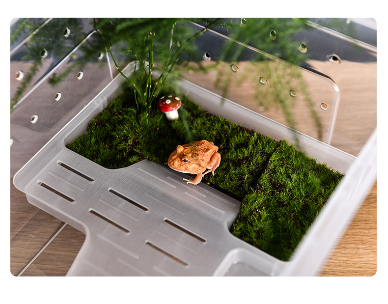 角蛙饲养盒专用两栖蟹饲养箱乌龟饲养盒蝎子蜈蚣带晒台爬宠饲养盒