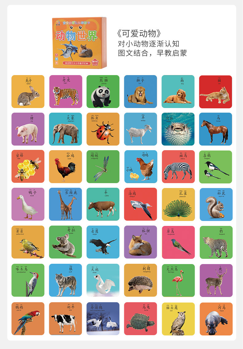 婴幼儿童早教认知卡片宝宝学习数字动物水果启蒙益智卡牌早教用品