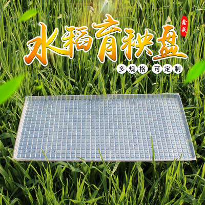 厂家供应各规格机插盘平盘软盘插秧机用秧盘 水稻育苗 支持定制