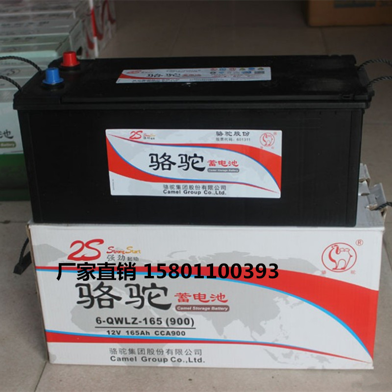 12v80ah 6-qwlz-80骆驼蓄电池电瓶 船舶柴油机启动电瓶l型端子