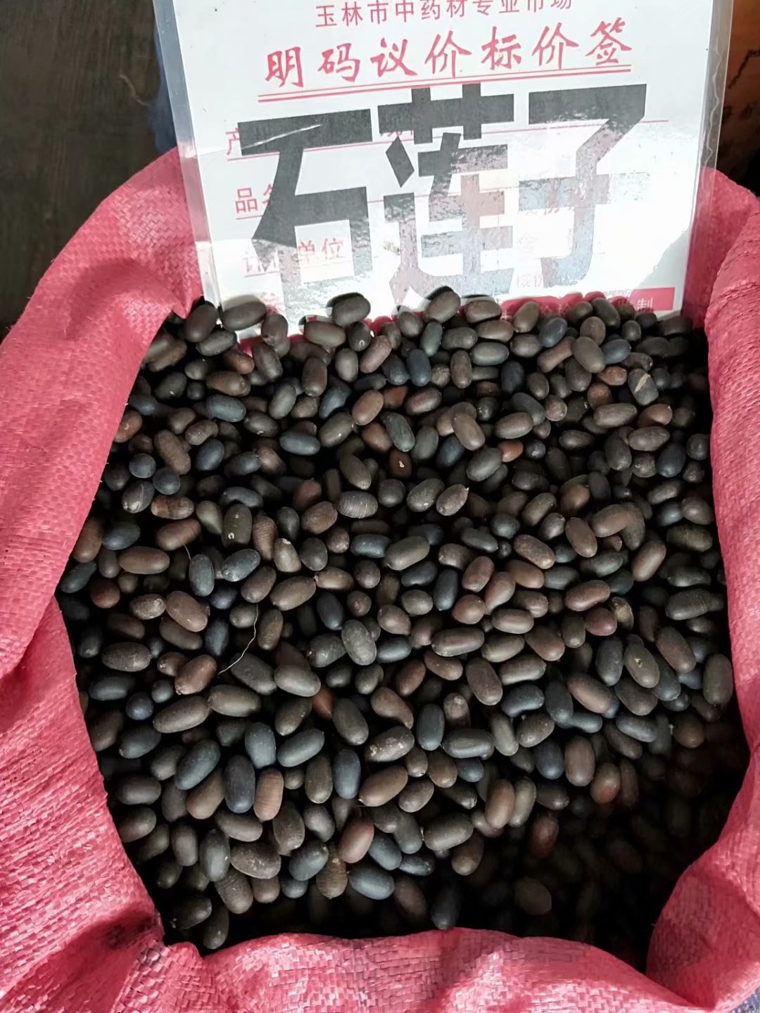 中药材石莲子双肾子每件500克