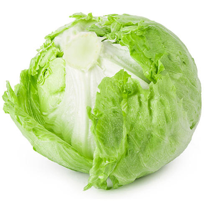 球形生菜5斤2500g球生菜圆生菜西生菜脆甜沙拉菜新鲜蔬菜