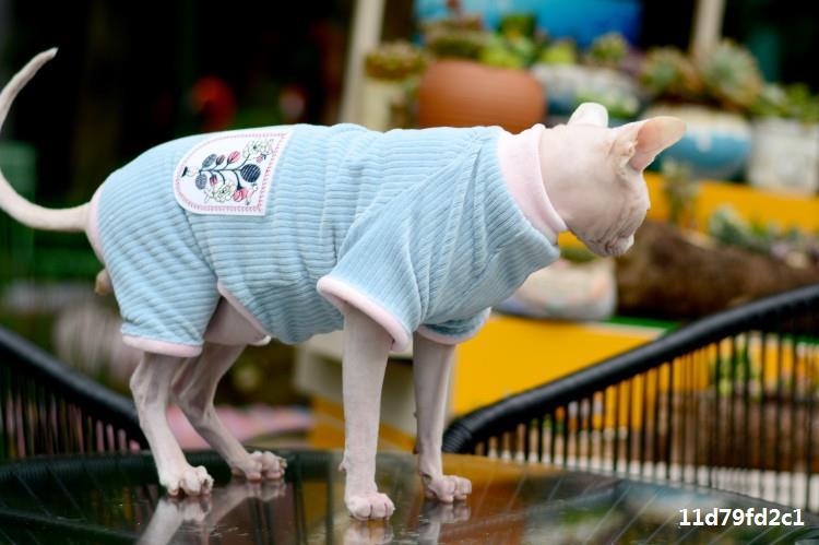 毛猫咪衣服双面衣斯芬克斯保暖四脚momo无小猫秋冬衣服宠物猫加绒