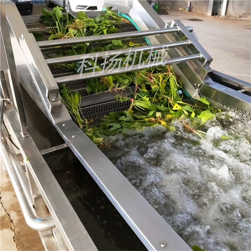 全自动毛豆清洗线 大型毛豆加工成套设备 毛豆清洗机