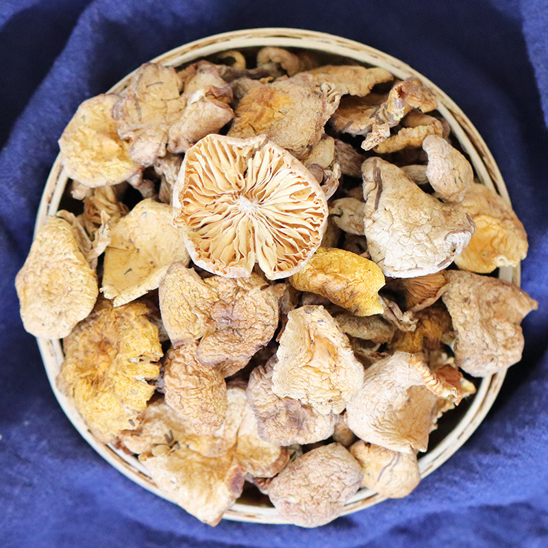 东北小黄蘑 吉林野外生长蘑菇食用菌东北榛蘑产地支持一件代发