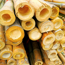 源头竹竿厂家大量批发菜架竹大棚竹1米2米3米4米各类规格