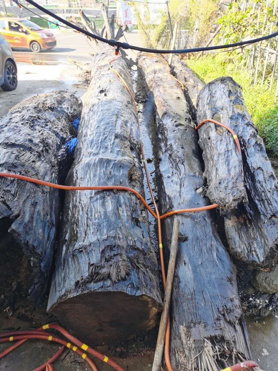 千年乌木阴沉木料