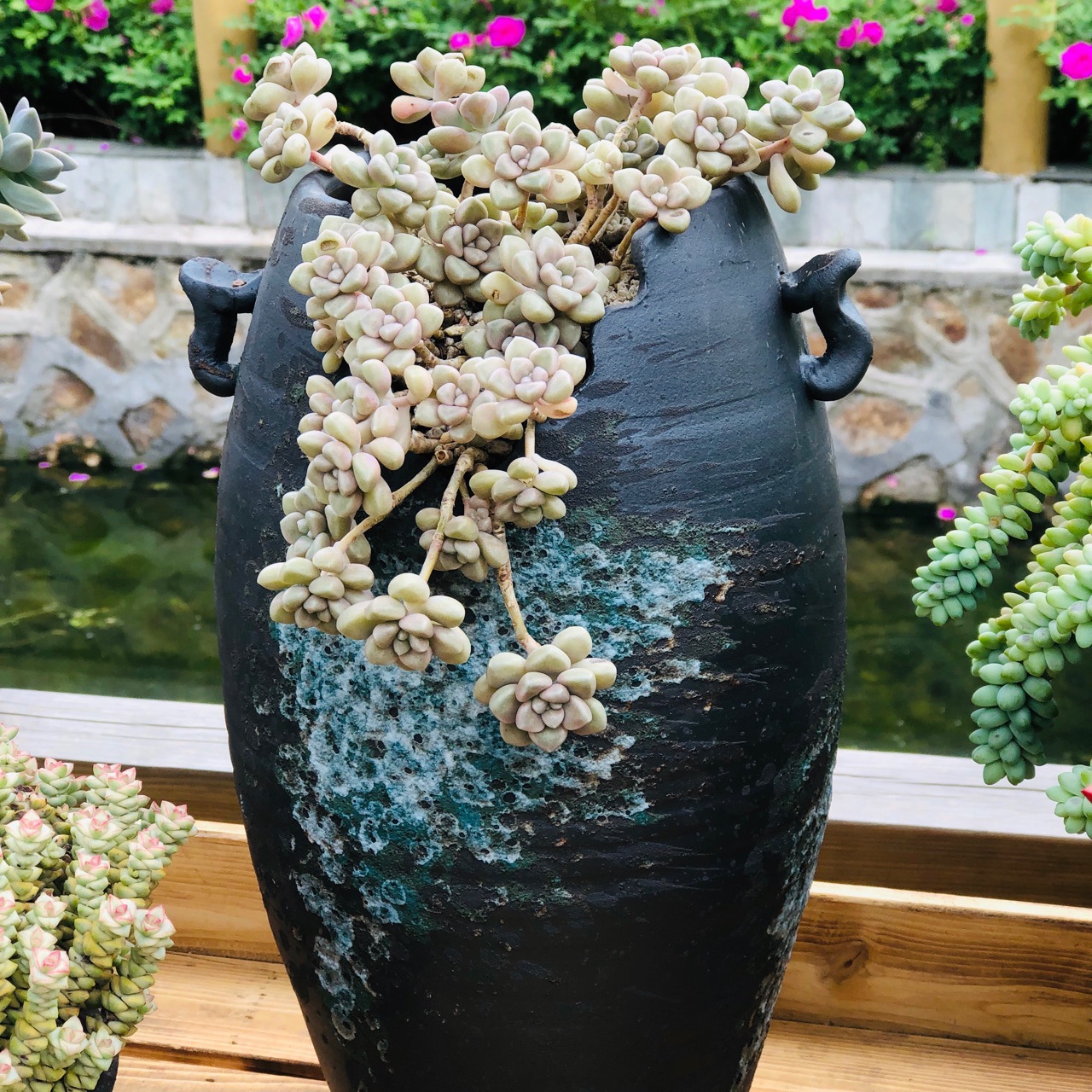 悬崖桩多肉盆老桩透气粗陶复古特大法师紫乐淡雪缺口陶瓷炖肉花盆