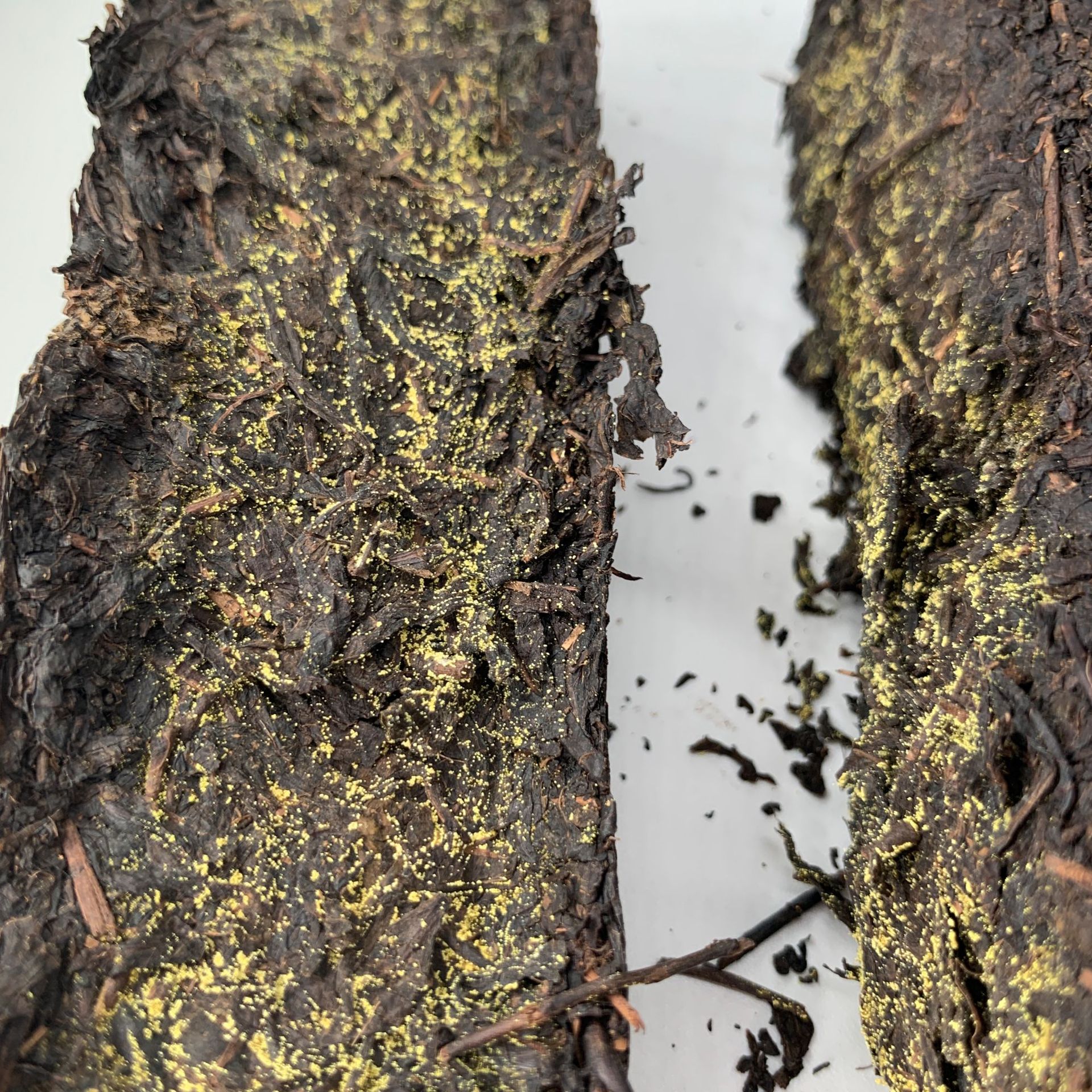 厂家批发湖南安化黑茶 御鉴藏茯 金花茂盛1000克 手筑茯砖 黑茶