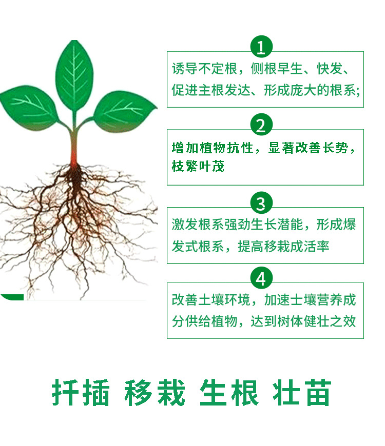 快速生根粉植物通用型家用花卉移栽多肉树木扦插生根粉1000g