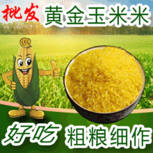 批发黄金玉米米1公斤真空包装25公斤大包装五谷杂粮方便玉米米