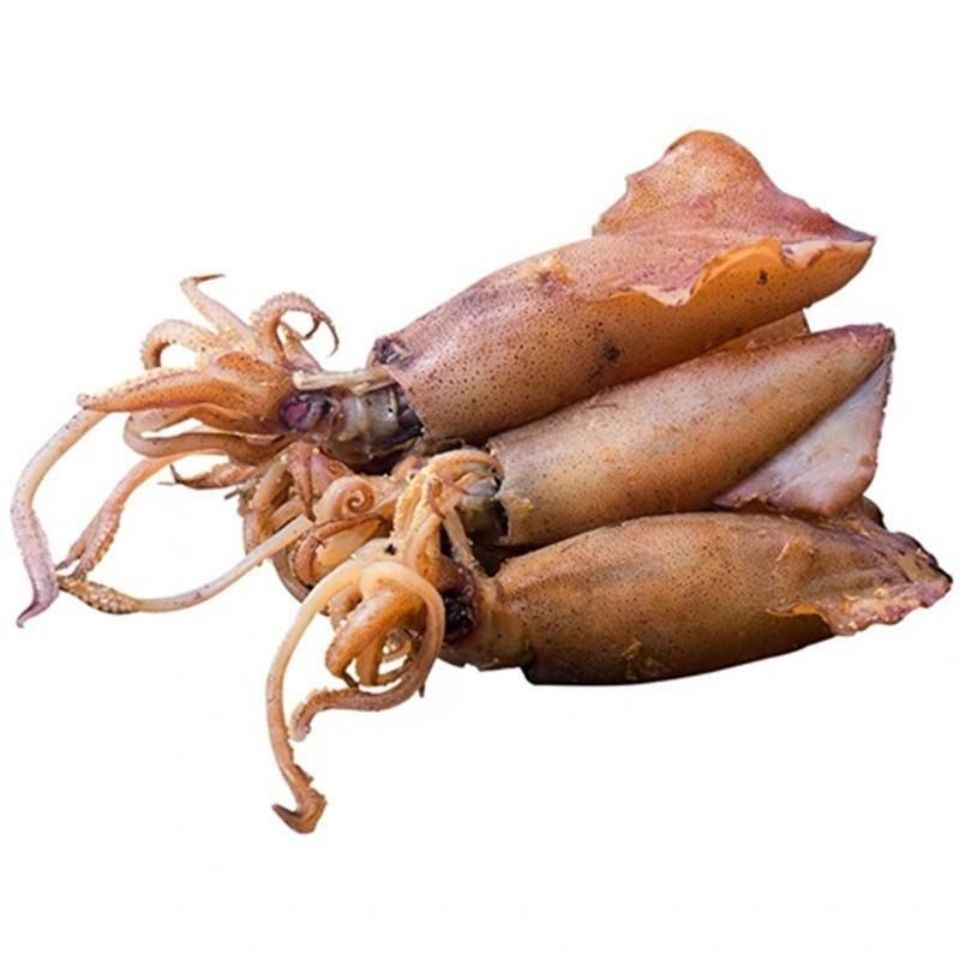 厂家常年批发 海鲜干货大号籽乌 子乌 海兔 淡晒墨鱼/250克皮乌