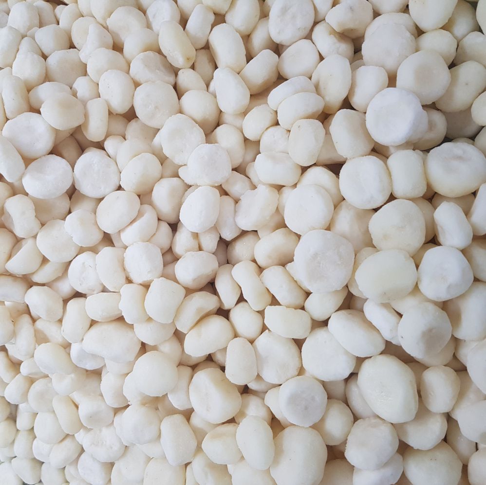 2021常年有货 冷冻马蹄粒 速冻马蹄 厂家销售 出口内销皆可