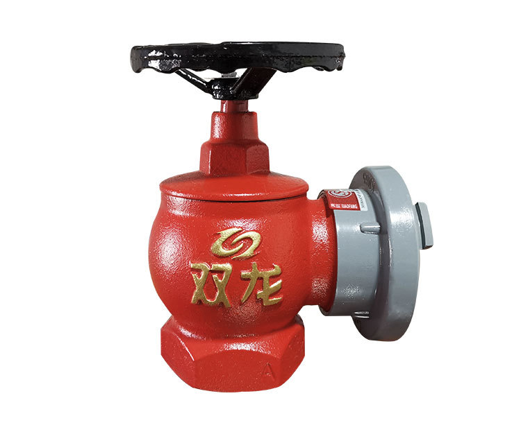 双龙消防室内消火栓旋转减压稳压消防栓3c认证snzw65-i消防箱配件