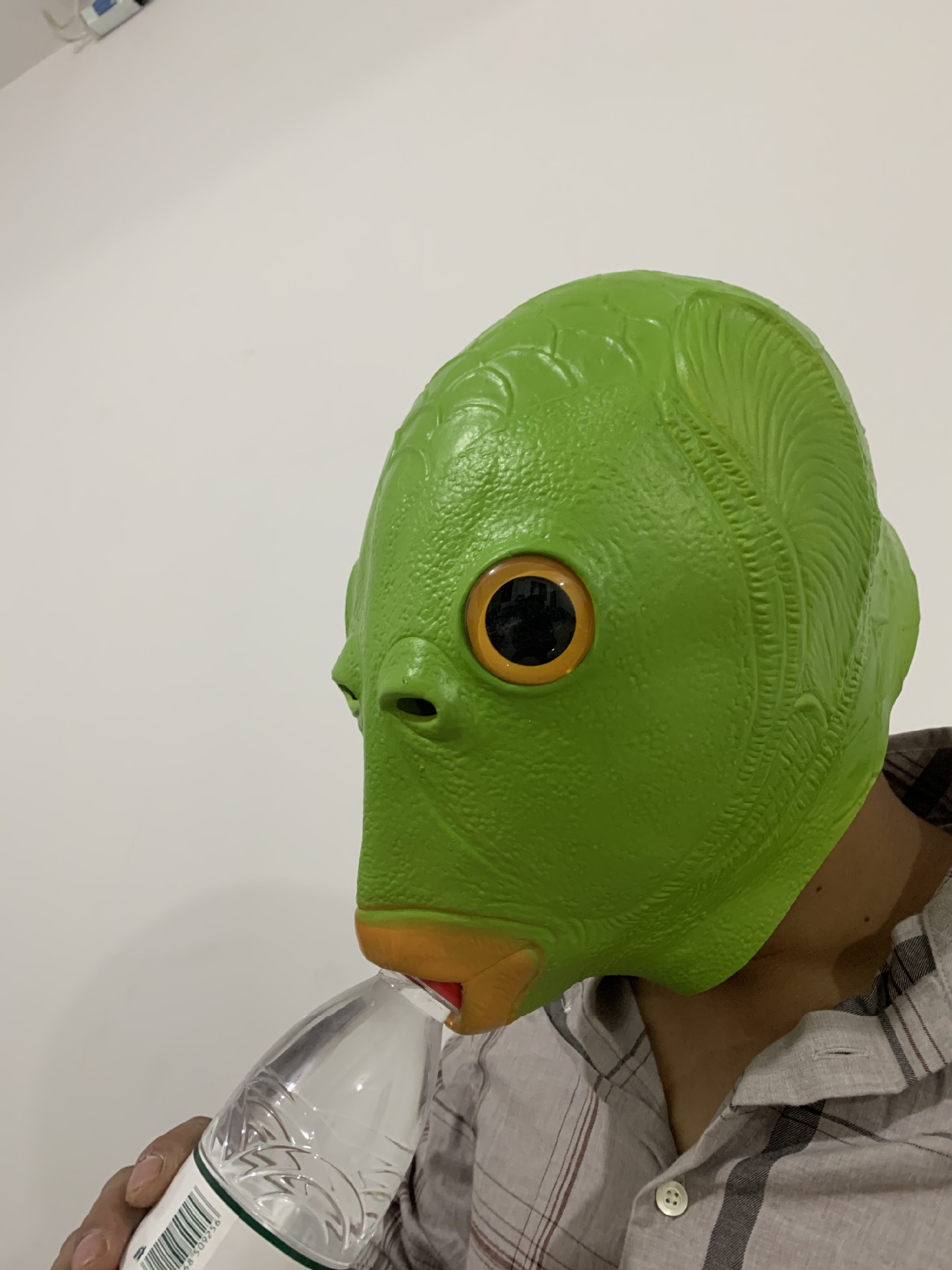 现货抖音同款绿鱼头套动物绿鱼人头套搞笑恶搞整蛊沙雕怪怪鱼面具