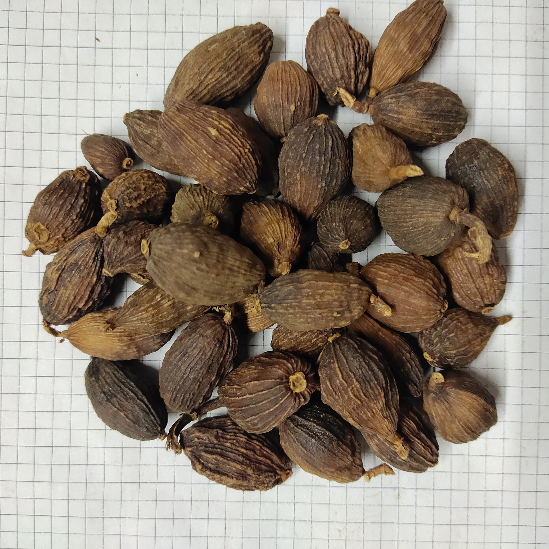 草果caoguo产地云南省文山州 10月产新 58元每公斤 包邮 草果仁