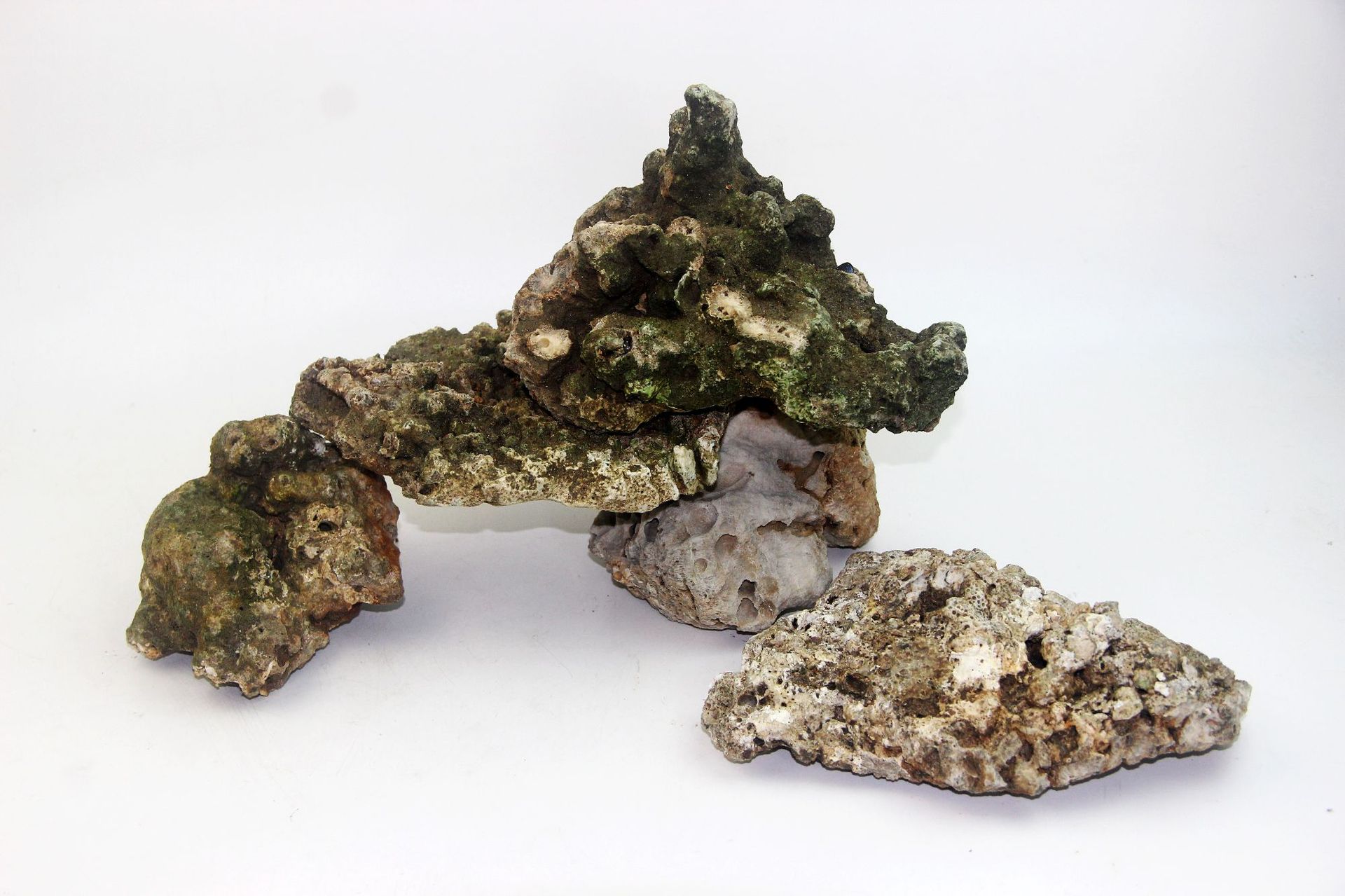 青龙石木化石鱼缸造景石精品小块碎石原石树抱石发泡胶大块造景