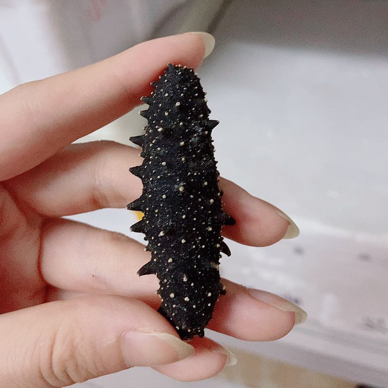 海参干货东山批发 非即食刺参满天星海参现货一件代发