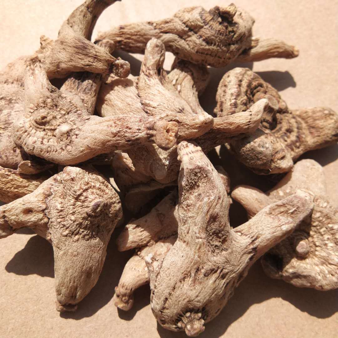 干白及 中药材旱白芨鲜白芨种苗三叉白芨现货批发 干白芨500g