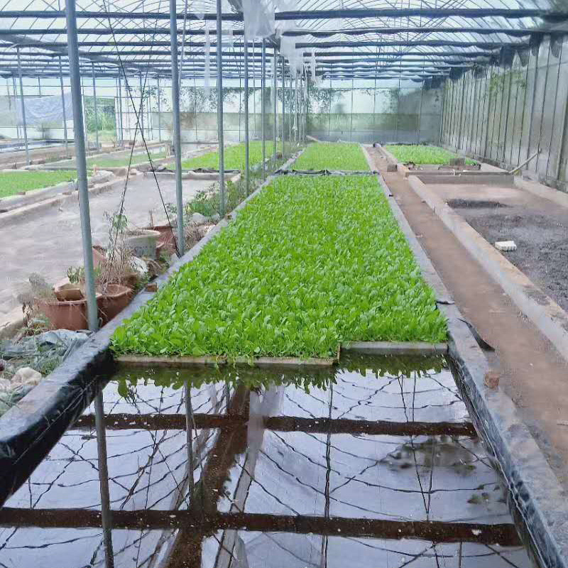 60升育苗基质蔬菜瓜类草莓穴盘漂浮百香果扦插育苗多肉营养培养土