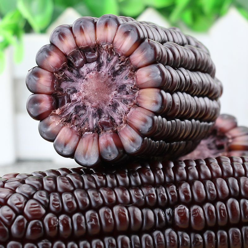 5成交1518箱昆明大蒜电子商务有限公司顾小鑫企业店|3年 |主营产品