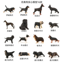 儿童实心仿真动物模型黑斗牛犬杜宾犬牧羊犬恶霸犬宠物狗玩具模型