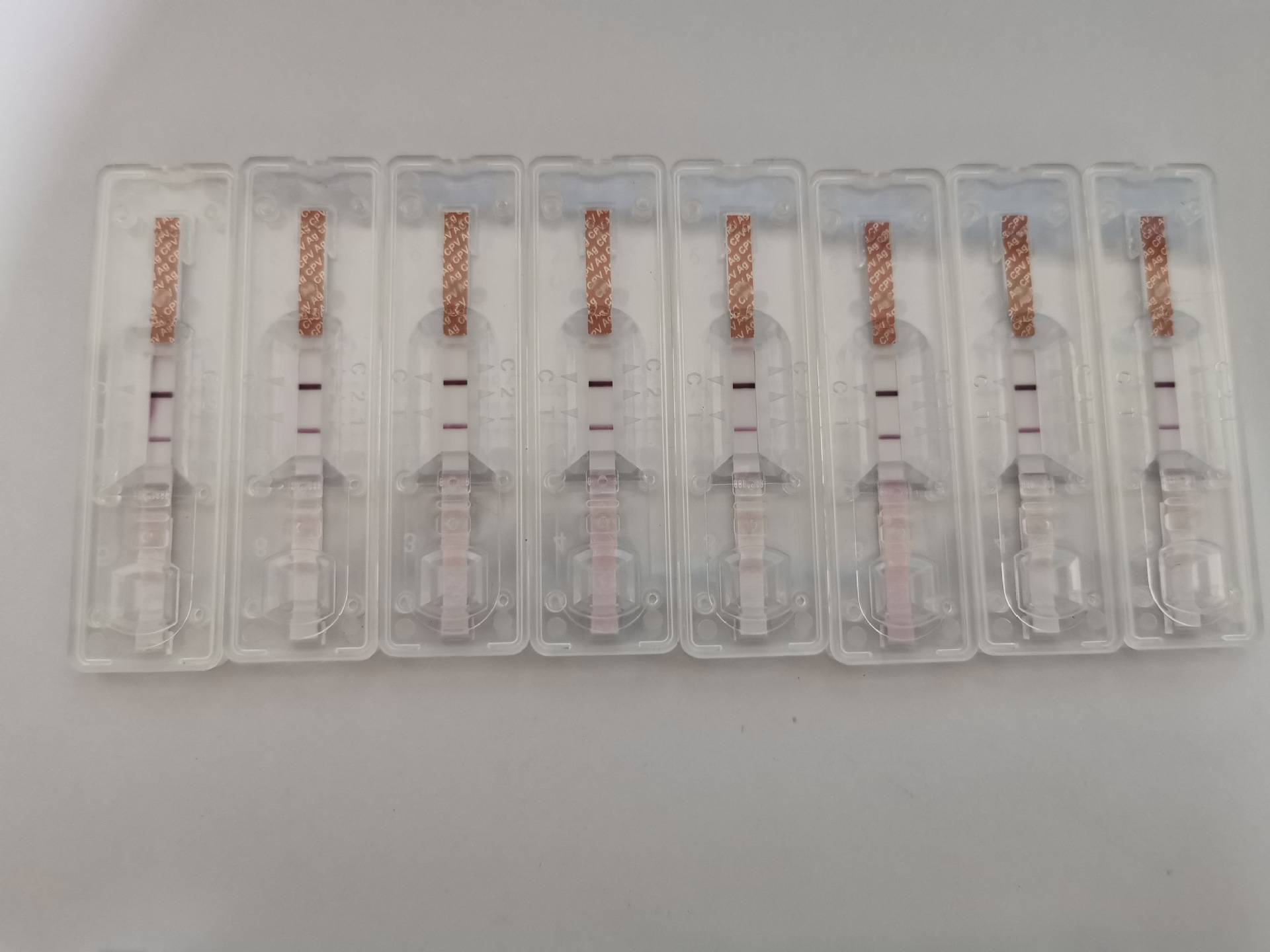 艾力德细小试纸宠物试纸cpv试纸 艾力德细小试纸cpv试纸