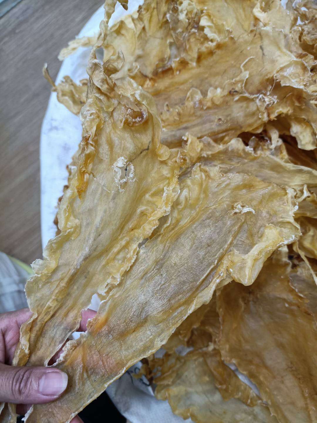 厂家直销一德路鱼肚黄花胶海味干货15-18厚肉鳕鱼胶原蛋白多规格