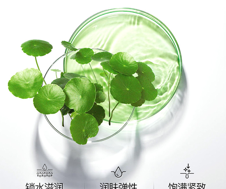 俏美人积雪草修复精华乳滋养水润提亮持久保湿乳液精华乳护肤品