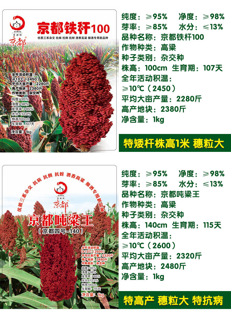 红高粱种子高粱籽粮油种子蔬菜种子批发菜种菜籽种子公司