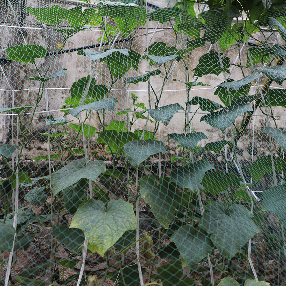 池塘防护网防鸟防畜池塘编织网 2x3m 防落叶网