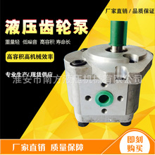 CBN-E300化工耐高温齿轮泵 精密小流量液压油定量齿轮泵 高压油泵