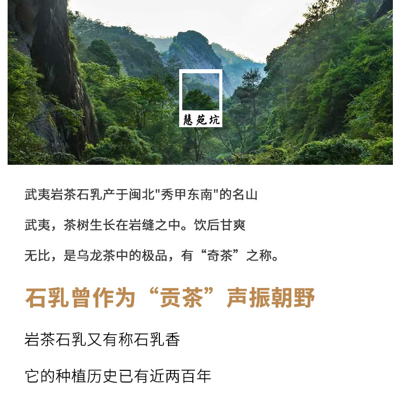 慧苑坑石乳大红袍茶叶批发岩乳香乌龙茶散装武夷岩茶小泡袋铁罐装