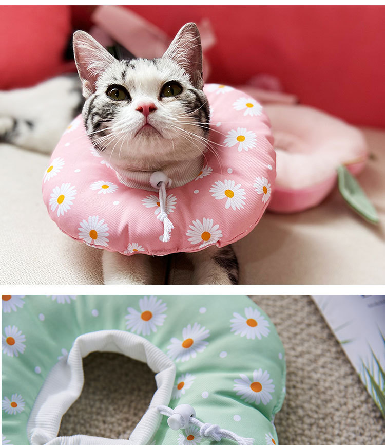 伊丽莎白圈软布宠物猫咪伊利沙白防舔头套耻辱项圈猫脖圈绝育用品