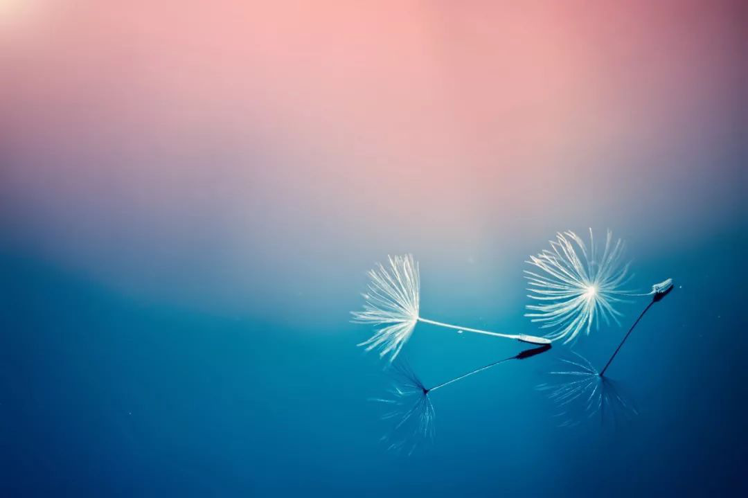 用自己照片当微信头像的人,都是什么样的人! - 阿里巴巴商友圈