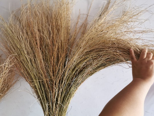 室外大号毛竹扫把大街工厂金丝草扫把铁扫把手工扫把铁笤帚扫植物