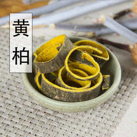 中药材黄柏 黄柏片 关黄柏 川黄柏 檗木 檗皮 黄檗 500克 包邮