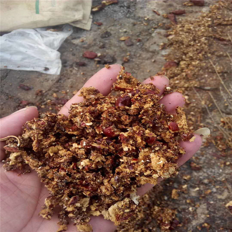 直销饲料枣粉 烘干枣粉红枣粉适用于牛羊鸡猪批发优惠