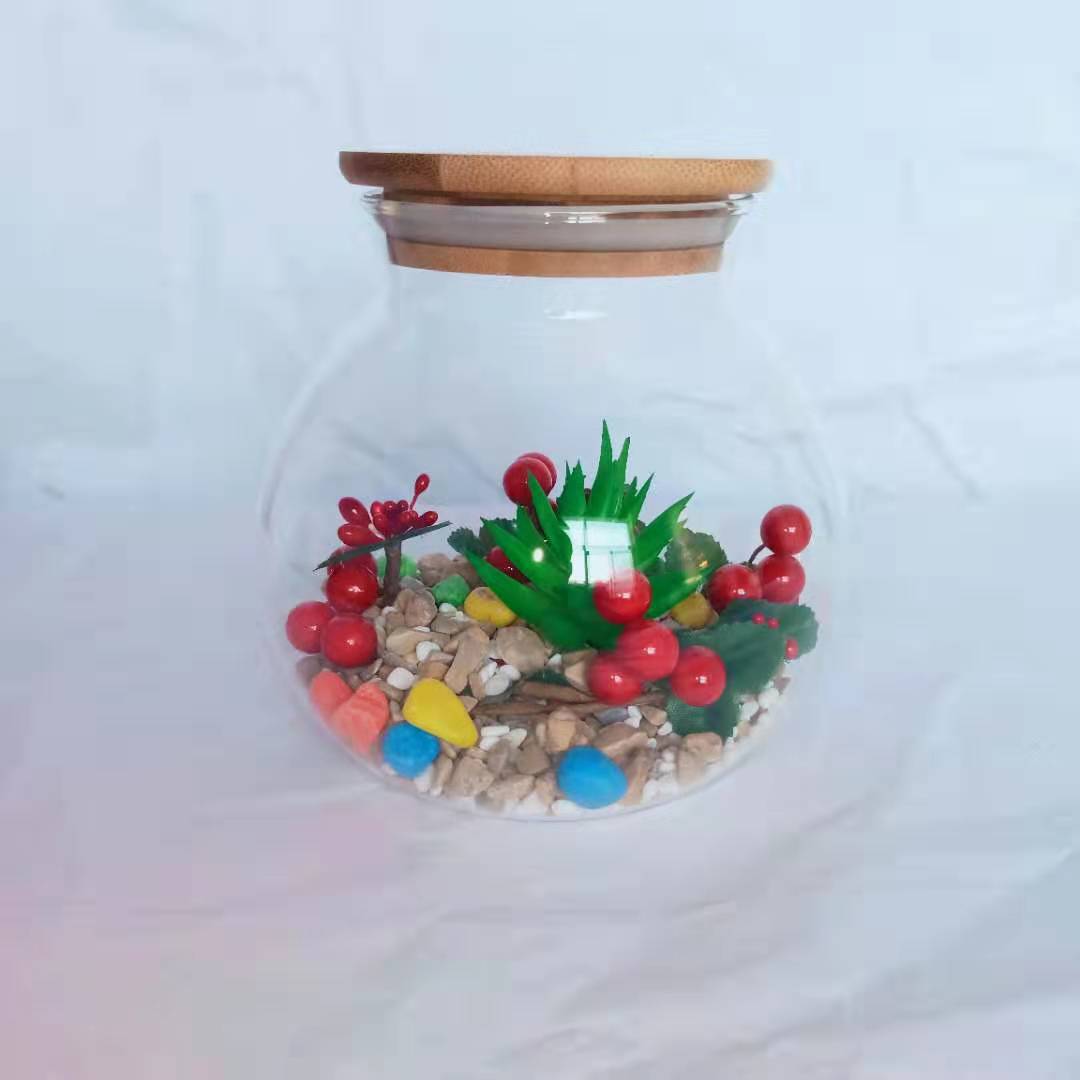 批发大中小号生态瓶带木盖 微景观生态瓶 软木塞圆形玻璃密封罐