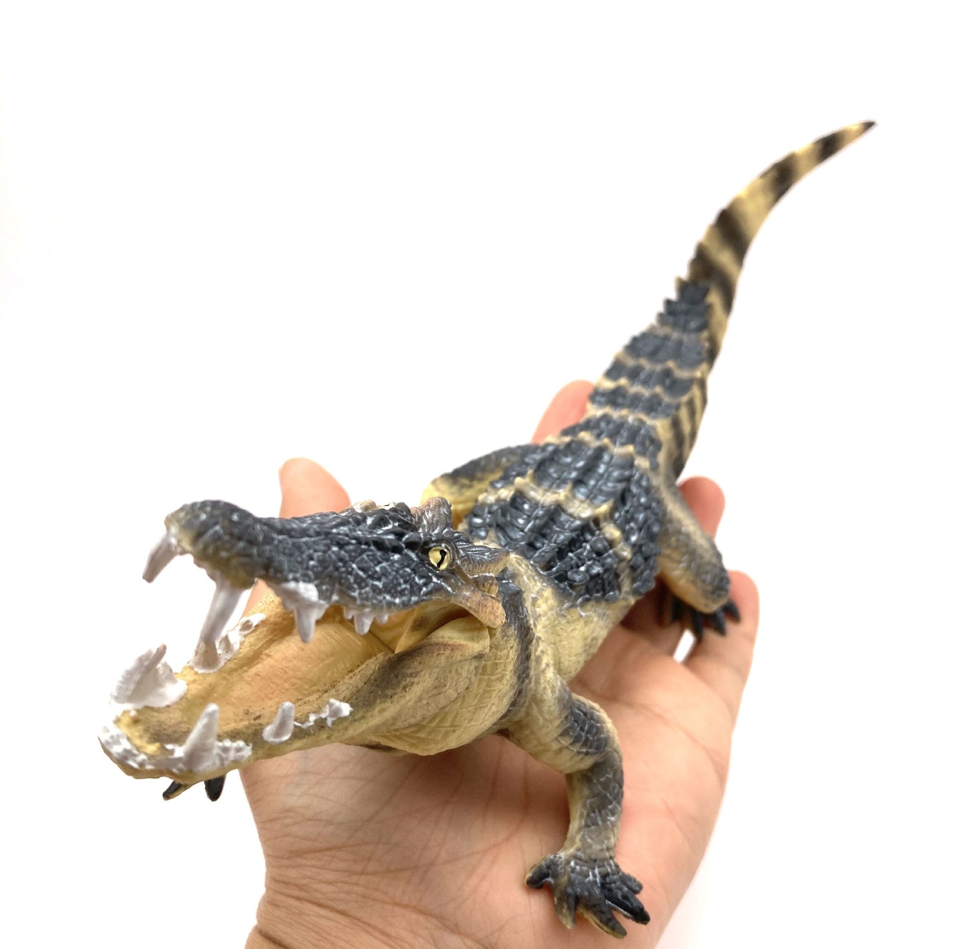 跨境仿真动物模型鳄鱼野猪鳄短吻鳄黑帝鳄实心塑料模型手办摆件