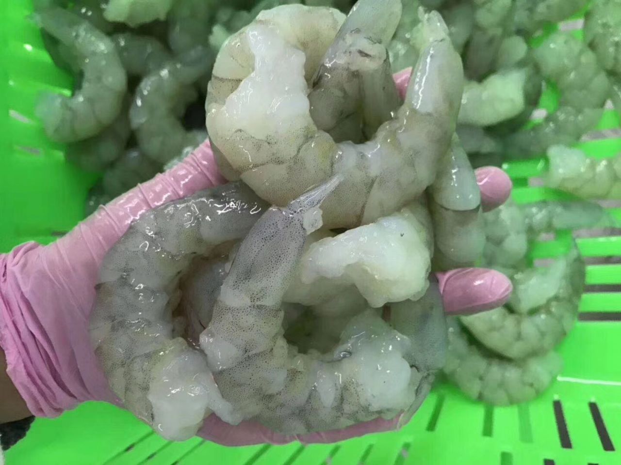 批发供应冷冻大虾仁青虾仁5kg袋装酒店餐饮连锁自助食材火锅