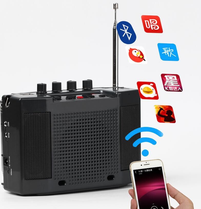 圣韵v309蓝牙二胡神器2.4g无线扩音器乐器专用演出立体声便携式